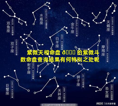 紫微天相命盘 🐕 的紫微斗数命盘查询结果有何特别之处呢